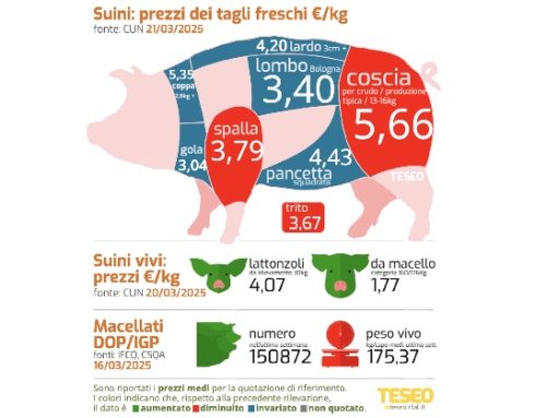 Cun tagli freschi: quasi tutte le cosce perdono altri 5 centesimi, spalla e trito -3. La carcassa belga supera la tedesca