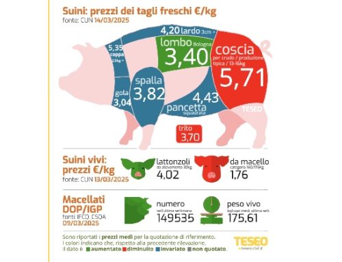 Cun tagli freschi: cosce Dop -2/-7 cent, nelle non tutelate la leggera più cara della pesante. Continuano gli aumenti in Europa