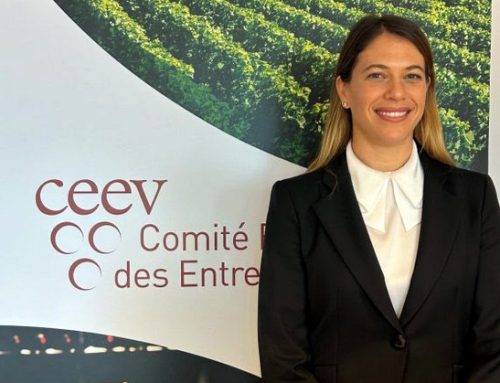 Marzia Varvaglione nominata presidente del Comité Européen des Entreprises Vins (Ceev)