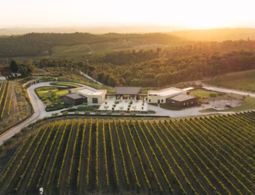 Export di vino: siglata collaborazione tra Vallepicciola ed Edoardo Freddi International