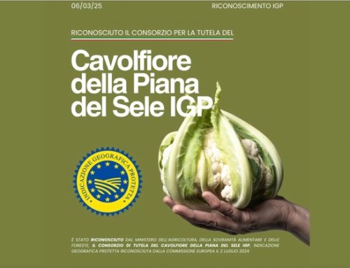 Cavolfiore della Piana del Sele Igp: il Masaf riconosce il Consorzio di tutela