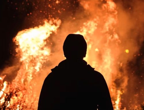 Ortomercato di Milano: un incendio doloso distrugge 2.500 mq di strutture
