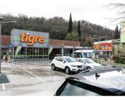 tigre spoleto