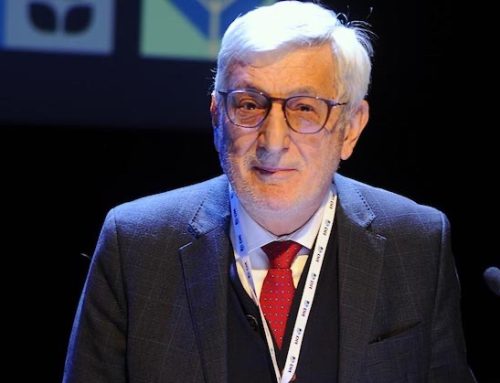 Dit-Distribuzione italiana: bilancio positivo nel 2024