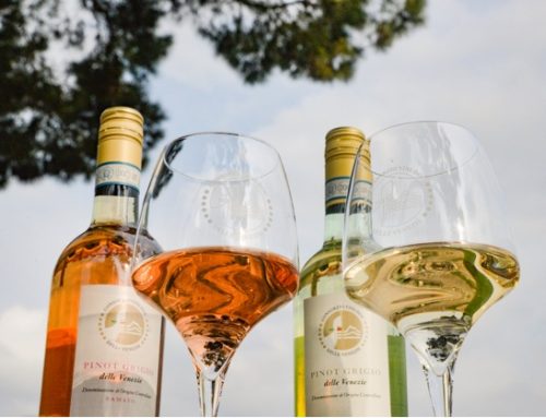 Doc Delle Venezie, il 2025 si è confermato anno di solidità per la denominazione