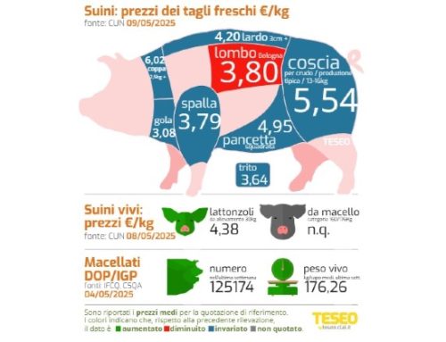 Cun 9 maggio: si sgonfia la macelleria fresca (lombo Padova -15%), invariati tutti i tagli per stagionatura. Anche l’estero ferma gli aumenti