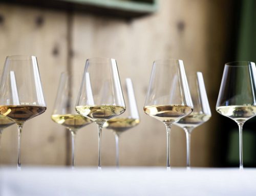 Vini Alto Adige, l’annata 2024 promette grandi risultati