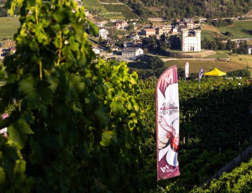 Il Consorzio Vini Valle d’Aosta ha programmato due eventi per l’estate