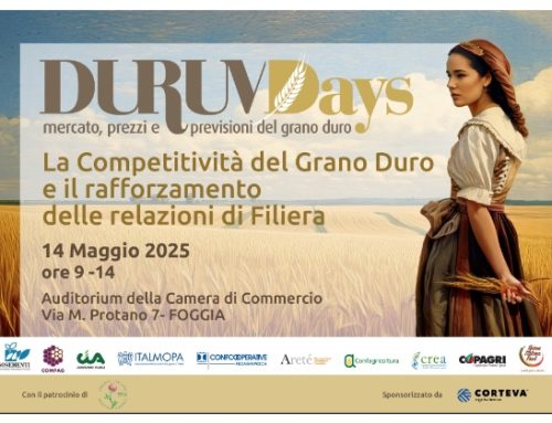 Durum Days: l’edizione 2025 si terrà il 14 maggio a Foggia