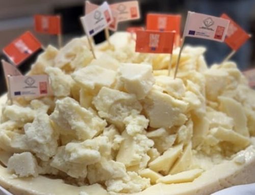 Al via la seconda annualità del progetto ‘In Europa c’è un formaggio buono e tipico per natura’ del Pecorino Romano Dop