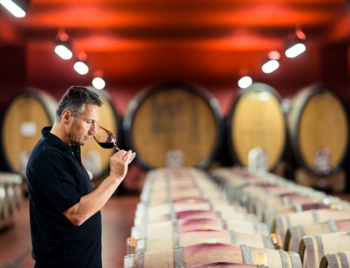 Settembre 2025, l’Alto Adige Wine Summit apre agli operatori