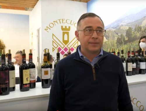 Il Consorzio Tutela Vini Montecucco festeggia i suoi 25 anni
