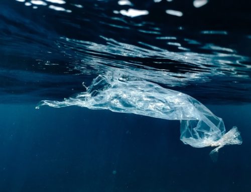 Giappone / Sviluppata una nuova plastica che si dissolve nell’acqua di mare