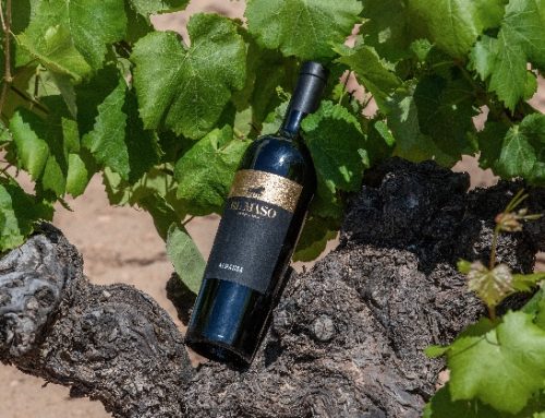Spagna, Fantini rileva la cantina ex Venta la Vega
