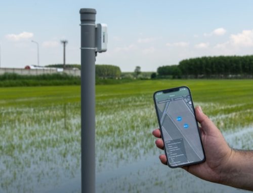 Riso Gallo e Xfarm Technologies: agricoltura digitale per una risicoltura più sostenibile
