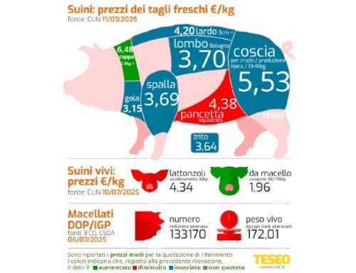 Cun tagli freschi: +5 cent per le cosce non Dop, riparte la coppa (6,48 euro/kg). Pancette -12/13% in un mese. Crollo dei prezzi per Belgio, Olanda e Danimarca