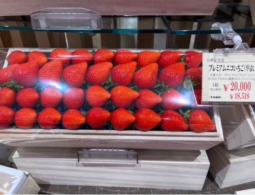 In Giappone la frutta in vendita ha prezzi diversi dall’Italia e dell’Europa. E i consumi seguono un altro ritmo