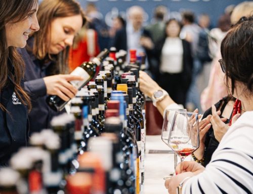 A settembre la prima edizione di ‘ViVa, Vini Valtellina’