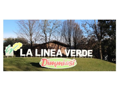 La Linea Verde: nel 2024, fatturato consolidato a oltre 378 milioni di euro (+6%)