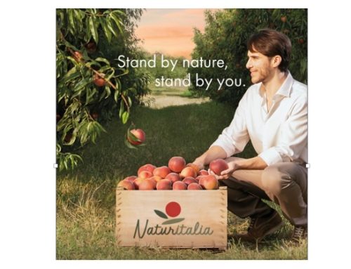 Ortofutta / Naturitalia presenta la nuova brand identity: ‘Stand by nature, stand by you’