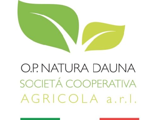 Ortofrutta, minibond da 10 milioni per O.P. Natura Dauna. Obiettivo: sviluppo del ramo frozen
