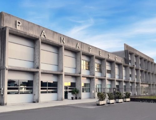 Con 148 milioni di euro nel 2024, Panapesca spinge il mercato del pesce surgelato
