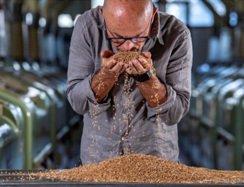 Sgambaro: “Annata eccellente per il grano, nel 2026 faremo una pasta ancora più buona”