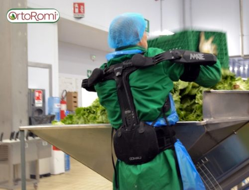 OrtoRomi introduce gli esoscheletri per supportare gli operatori nelle attività fisiche più impegnative