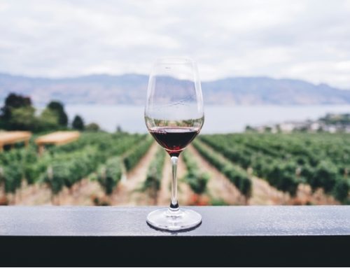 Osservatorio nazionale alcol: in calo il consumo di vino, ma cresce la produzione