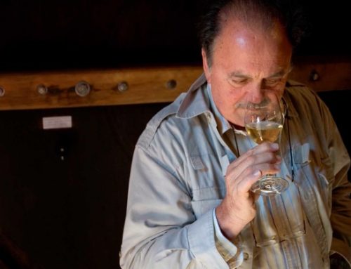 Si è spento a  89 anni Ampelio Bucci, che ha reso grande il verdicchio