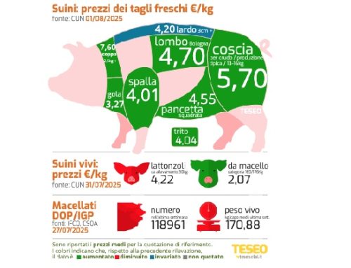 Cun tagli freschi: aumenta tutto tranne i lardi. Cosce +4/+7 centesimi (pesante Dop a 5,70 euro/kg), la coppa vola a 7,60 euro/kg. Spalle e triti oltre i 4 euro