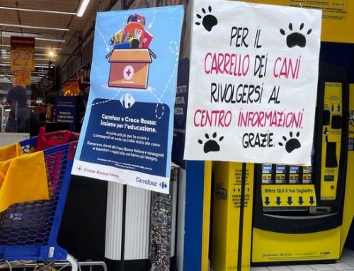 La sensibilità serve a distinguere i cartelli informativi all’ingresso dell’ipermercato Carrefour, proprietà NewPrinces