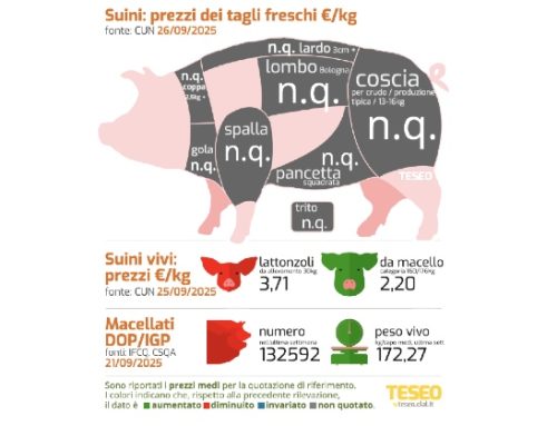Cun tagli freschi: secondo non formulato in Italia, il punto sulla situazione