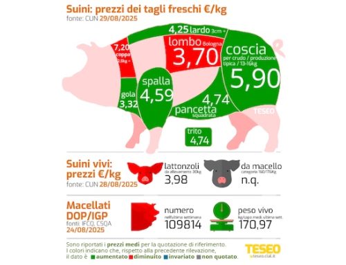 Cun tagli freschi, industria sotto pressione. Aumentano tutti i tagli (cosce +8 cent, spalla +18, trito +19, pancetta +14), tranne macelleria fresca e coppa disossata (-50 cent)