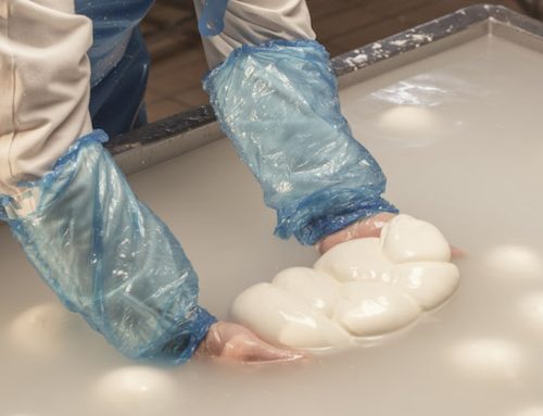 Lactalis investe 27 milioni di euro per ampliare lo stabilimento di Mondragone, dove viene prodotta la mozzarella Mandara