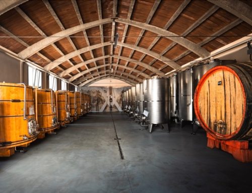 Aceto balsamico di Modena Igp: la cantina Malpighi punta a triplicare la produzione
