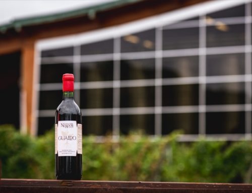 Argea presenta Gualdo 2022, primo vino biosimbiotico di Poderi dal Nespoli