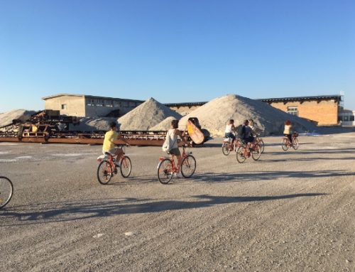 Babbi 1952 organizza un press tour per celebrare azienda e territorio
