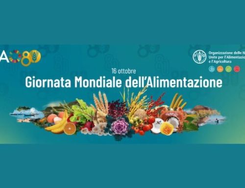 Roma, Giornata mondiale dell’alimentazione: presenti alla Fao, tra gli altri, Sergio Mattarella, Giorgia Meloni e Papa Leone XIV