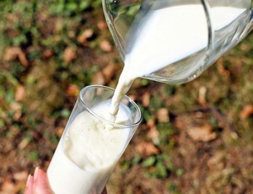 I consumatori non conoscono il latte e il settore lattiero caseario, secondo una ricerca di Osservatorio di CremonaFiera