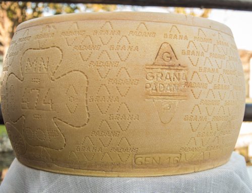 Il Grana Padano Dop ‘Selezione da fieno’ di Latteria San Pietro premiato agli Italian Cheese Awards