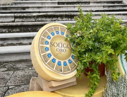La Latteria di Soligo sarà protagonista alla manifestazione Caseus 2025
