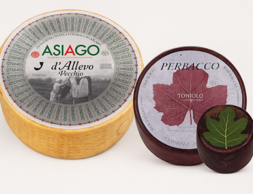 L’Asiago Dop Stagionato Vecchio e il Perbacco di Toniolo Casearia premiati alla 21esima edizione di Caseus Veneti