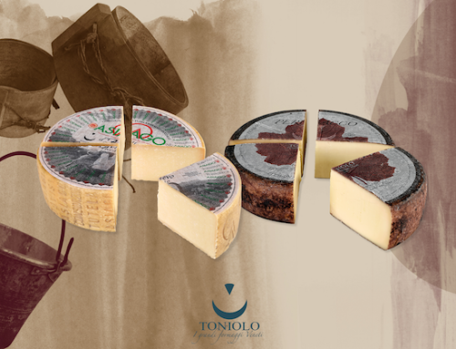 L’Asiago Dop Stagionato Vecchio e il Perbacco di Toniolo Casearia premiati alla 21esima edizione di Caseus Veneti
