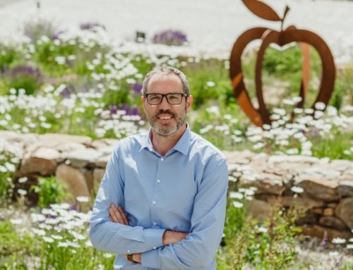 Mele bio / Vip: “Per il raccolto 2025, previsto +10% a volume e qualità eccellente”