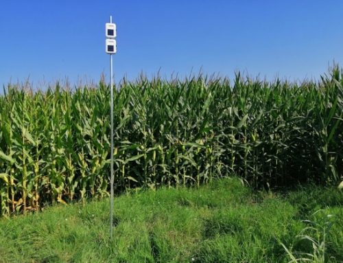 Siglata partnership tra Fattorie Garofalo e xFarm Technologies per la filiera bufalina