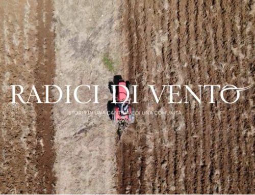 Cantine Settesoli presenta il podcast Radici di Vento