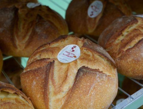 Oropan porta il Pane di Altamura Dop sui voli internazionali grazie a un’esperienza immersiva negli aeroporti pugliesi