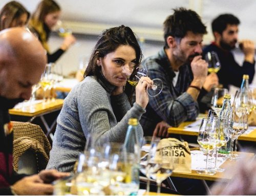 ‘Essere vignaioli’: l’evento che anticipa il Mercato di Fivi (15-17 novembre) fa tappa a Bologna il 22 ottobre