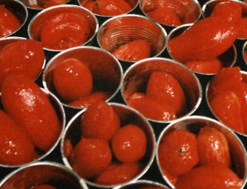 Pomodoro da industria: la campagna 2025 si chiude con 5,8 milioni di tonnellate (-10%)